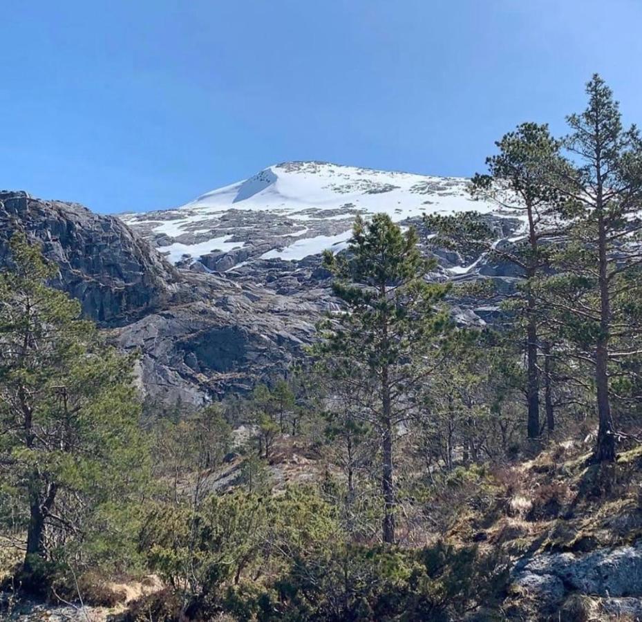 Husnes Sentrum Hotell المظهر الخارجي الصورة